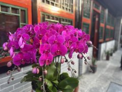 州会馆自开馆以来